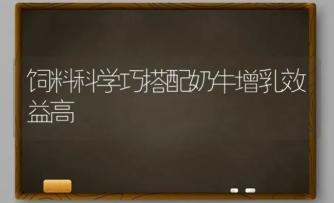 饲料科学巧搭配奶牛增乳效益高 | 动物养殖饲料