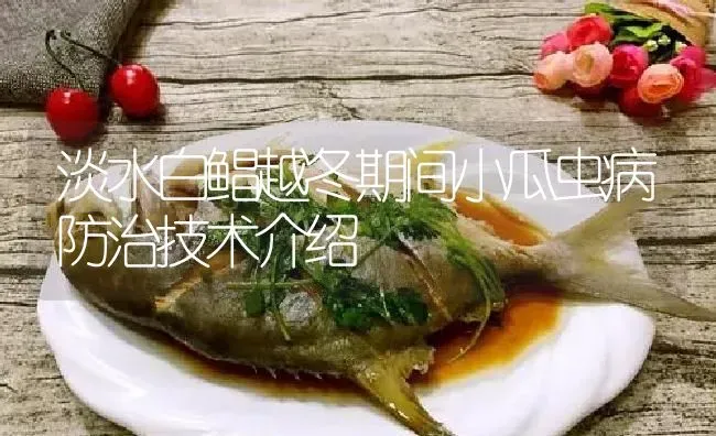 淡水白鲳越冬期间小瓜虫病防治技术介绍 | 淡水养殖