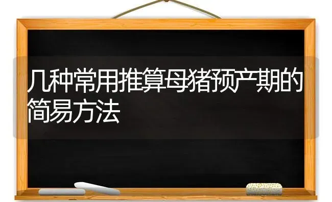 几种常用推算母猪预产期的简易方法 | 家畜养殖