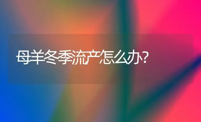 母羊冬季流产怎么办？ | 家畜养殖