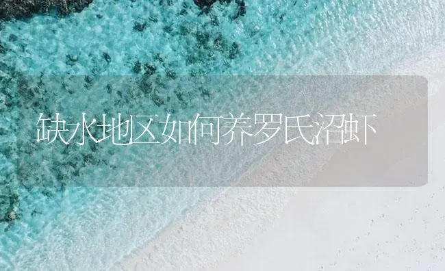 缺水地区如何养罗氏沼虾 | 海水养殖