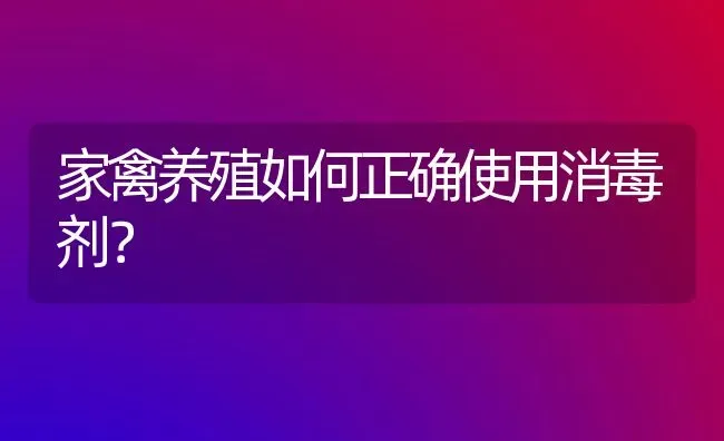 家禽养殖如何正确使用消毒剂？ | 家禽养殖