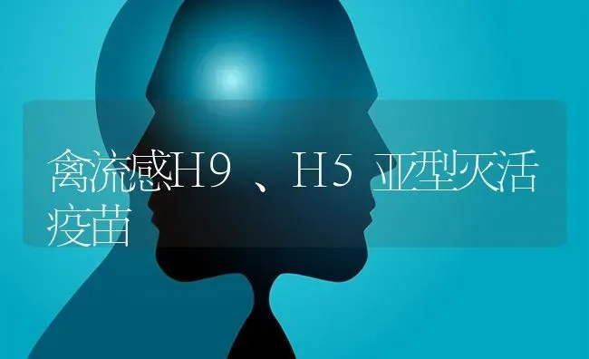 禽流感H9、H5亚型灭活疫苗 | 家禽养殖