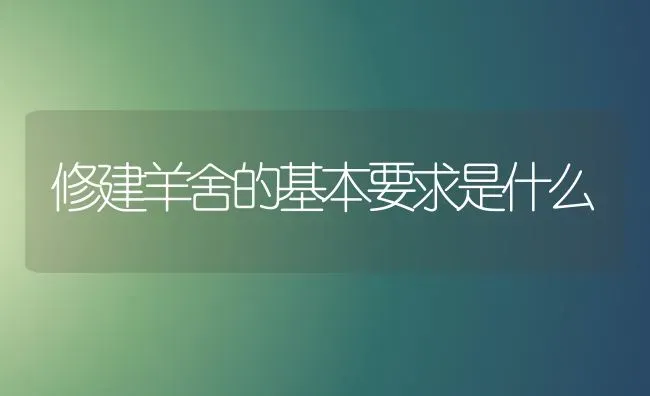 修建羊舍的基本要求是什么 | 家畜养殖