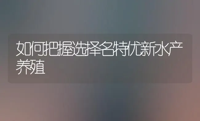 如何把握选择名特优新水产养殖 | 特种养殖