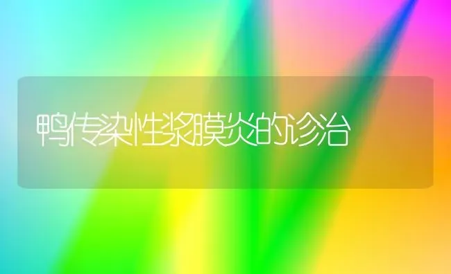 鸭传染性浆膜炎的诊治 | 家禽养殖