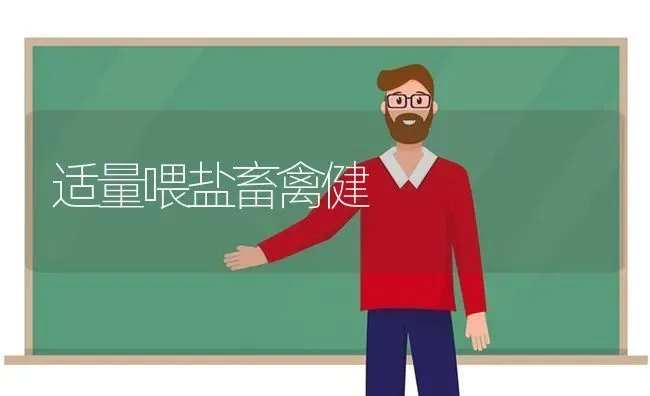 适量喂盐畜禽健 | 家禽养殖