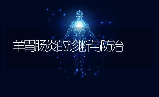 羊胃肠炎的诊断与防治 | 家畜养殖