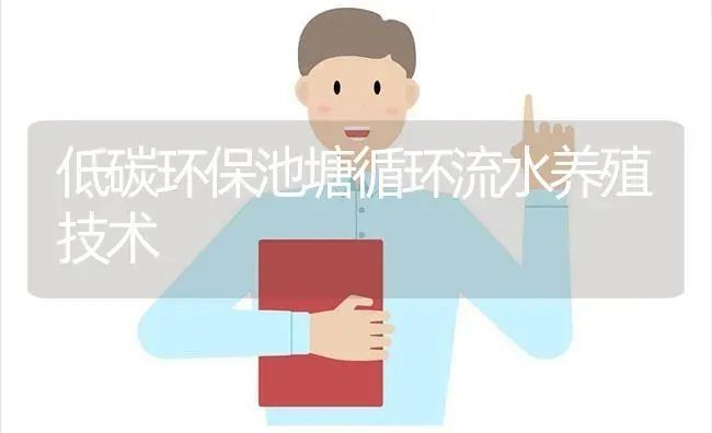 低碳环保池塘循环流水养殖技术 | 动物养殖百科
