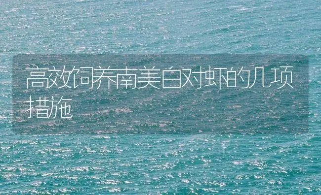 高效饲养南美白对虾的几项措施 | 海水养殖