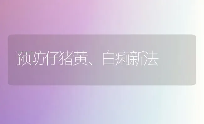 预防仔猪黄、白痢新法 | 家畜养殖