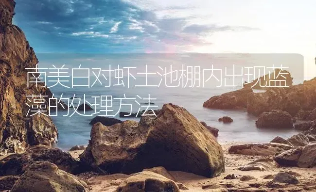 南美白对虾土池棚内出现蓝藻的处理方法 | 海水养殖