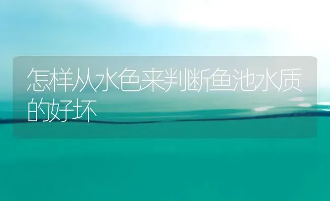 怎样从水色来判断鱼池水质的好坏 | 淡水养殖