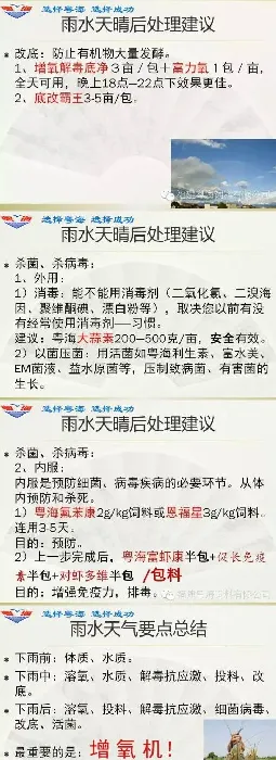 雨水天气对南美白对虾危害及处理方法