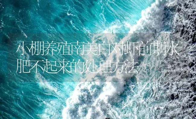 小棚养殖南美白对虾前期水肥不起来的处理方法 | 海水养殖