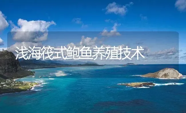 浅海筏式鲍鱼养殖技术 | 海水养殖