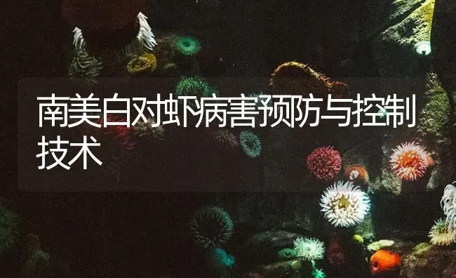 南美白对虾病害预防与控制技术 | 海水养殖