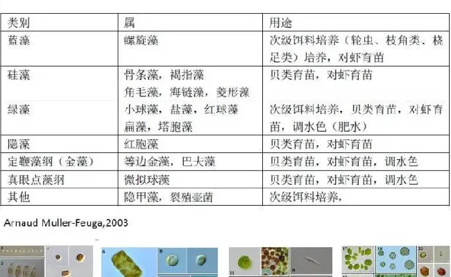 微藻在水产养殖和特种饲料中的应用