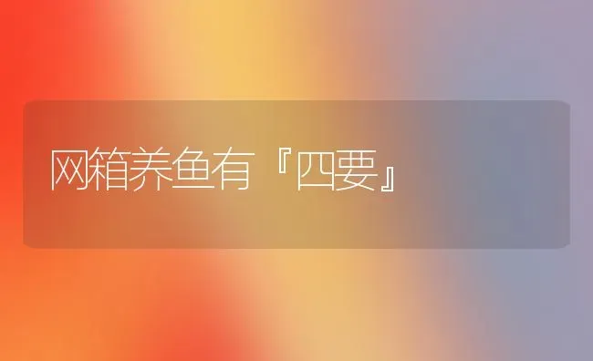 网箱养鱼有『四要』 | 淡水养殖