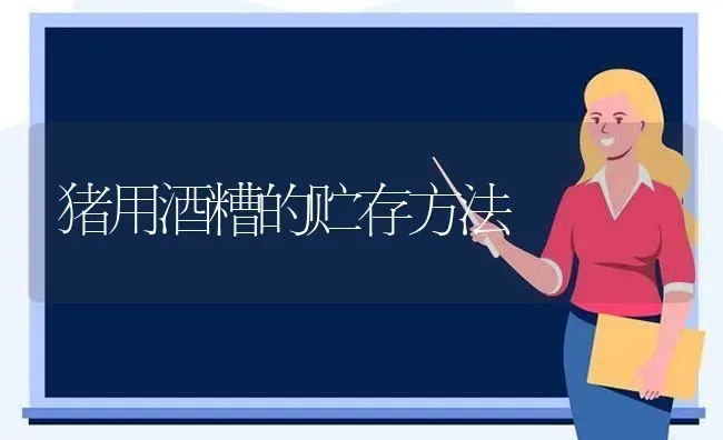 猪用酒糟的贮存方法 | 家畜养殖