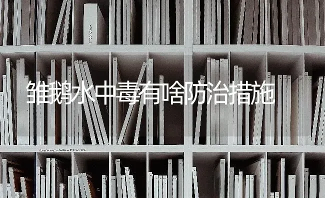 雏鹅水中毒有啥防治措施 | 家禽养殖