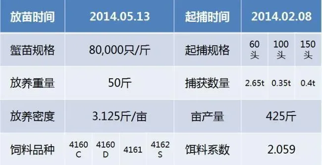 南京高淳区魏老板的扣蟹养殖经验总结