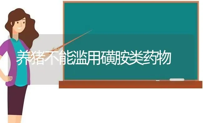 养猪不能滥用磺胺类药物 | 养殖病虫害防治