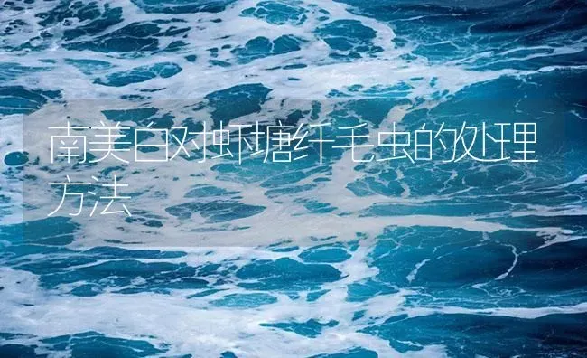 南美白对虾塘纤毛虫的处理方法 | 海水养殖