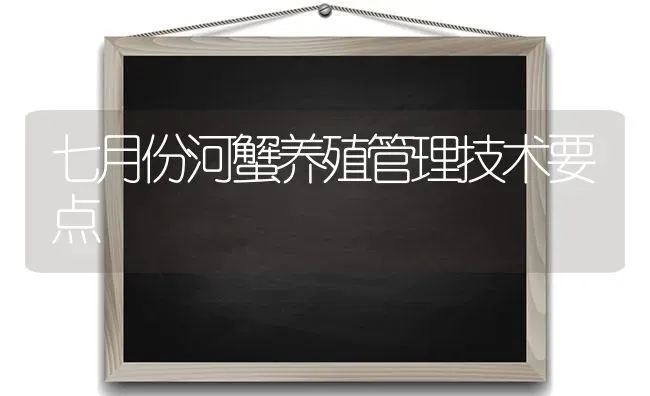 七月份河蟹养殖管理技术要点 | 淡水养殖