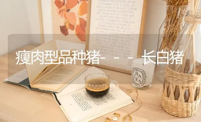 瘦肉型品种猪---长白猪 | 家畜养殖