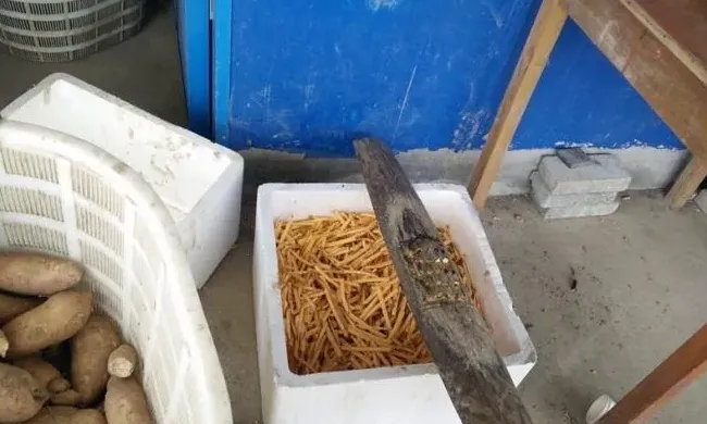 2月份南美白对虾为何会慢大，看看实战派的专业分析！
