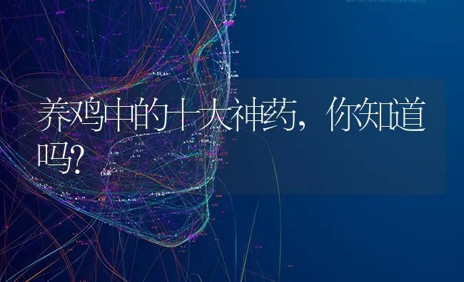 养鸡中的十大神药，你知道吗？ | 养殖病虫害防治