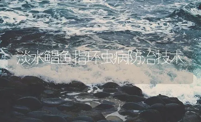 淡水鲳鱼指环虫病防治技术 | 海水养殖