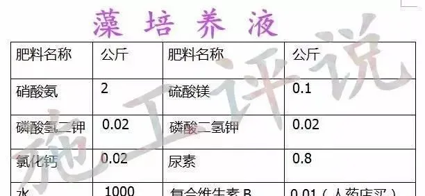 施工谈亚硝酸盐杀手：细说池塘外绿藻培养