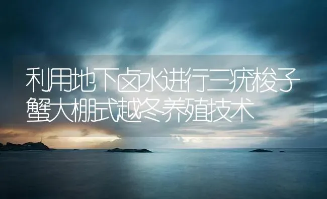 利用地下卤水进行三疣梭子蟹大棚式越冬养殖技术 | 海水养殖