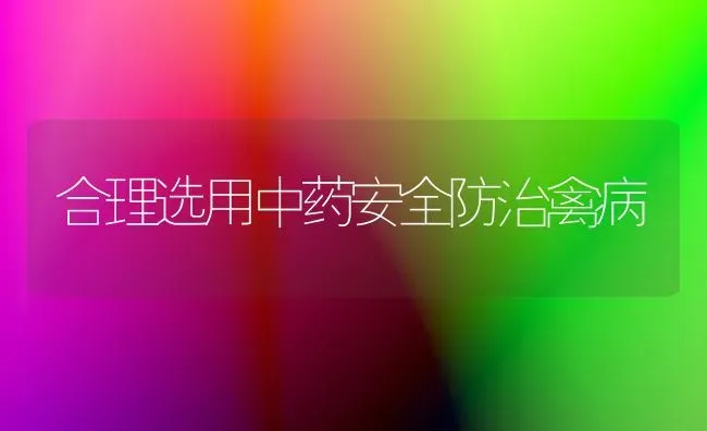 合理选用中药安全防治禽病 | 养殖病虫害防治