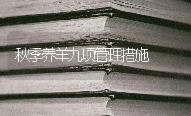 秋季养羊九项管理措施 | 家畜养殖