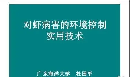 南美白对虾养殖水环境控制问题