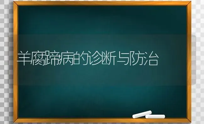 羊腐蹄病的诊断与防治 | 家畜养殖