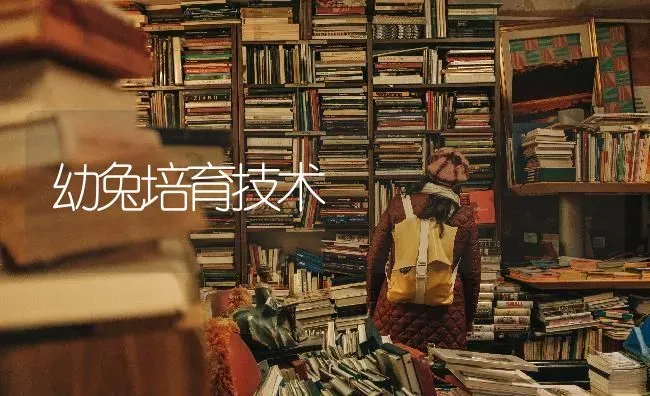 幼兔培育技术 | 家畜养殖