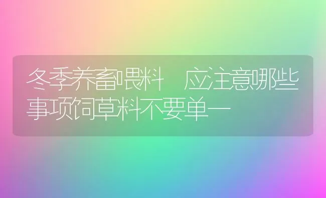 冬季养畜喂料 应注意哪些事项饲草料不要单一 | 家畜养殖