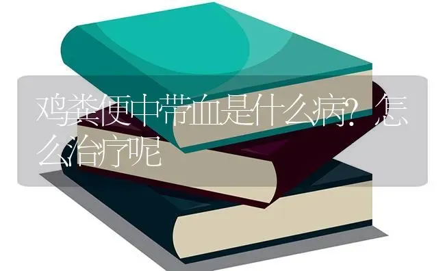 鸡粪便中带血是什么病？怎么治疗呢 | 家禽养殖