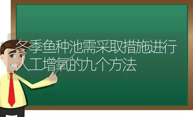 冬季鱼种池需采取措施进行人工增氧的九个方法 | 动物养殖百科