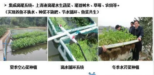 “渔光一体”告诉您，水产养殖智能环保有妙招！