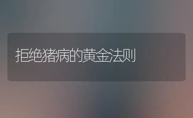 拒绝猪病的黄金法则 | 家畜养殖