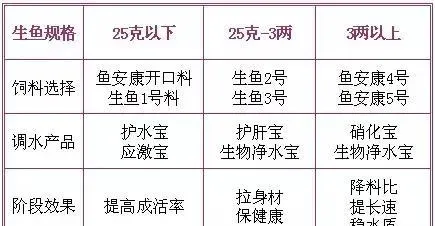 黑鱼行情不好养殖户还能赚钱的秘密