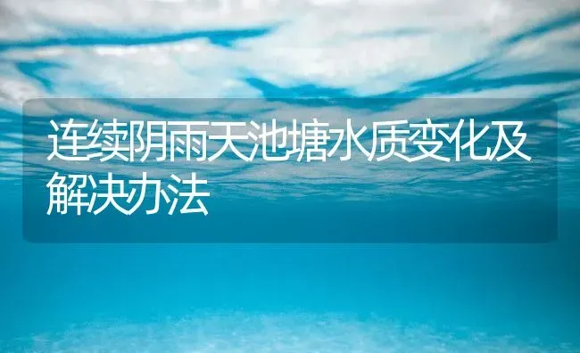 连续阴雨天池塘水质变化及解决办法 | 动物养殖百科