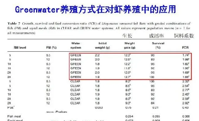 微藻在水产养殖和特种饲料中的应用