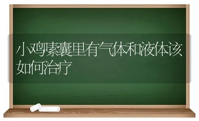 小鸡嗉囊里有气体和液体该如何治疗 | 家禽养殖