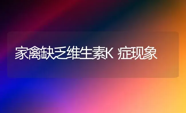 家禽缺乏维生素K症现象 | 家禽养殖